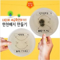 세균검사한천배지만들기 일반세균-10개분, 단품