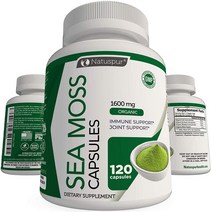 USA 직구 Natuspur 하이 그레이드 Sea Moss 1600mg 우엉뿌리 120캡 1팩, 수량, 상세참조