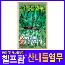 헬프팜 산내들열무 500g 무씨 씨앗 종자 KS종묘