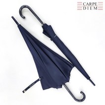 까르페디엠 S001 ﻿솔리드 장우산 네이비 상남자 우산 93cm 380g
