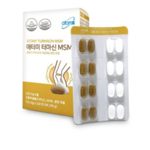애터미 터마신 MSM, 128정, 1개