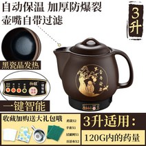 약탕기 사과즙 보약 온열차 액기스 한약 중탕기 건강원, 단일사이즈, L스마트