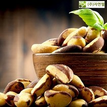 자연웰 브라질너트 100g 1개 견과류 견과