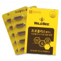 종근당 프로폴리스 아연 면역력에 좋은 와일드비 호주 플로폴리스 항산화, 60정, 1개