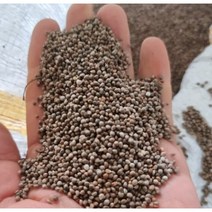 국산 생들깨 햇들깨 햇깨 생깨 600g/1.2kg 통들깨 국산들깨, 생들깨1.2kg