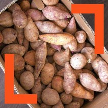 파머스넷 한입 햇 고구마, 한입고구마 3kg, 1박스