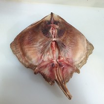 국내산 반건조 갱개미 1kg 자연산 간재미 가오리, 1kg 2~4미