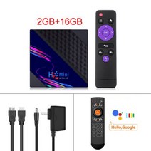 VONTARH96 미니 V8 스마트 TV 박스 10 GB RAM 16GB 1080p 4K 구글 플이 유튜브 H96Mini 미디어 플이어 셋톱, CHINA_2G16G G21 Voice RC