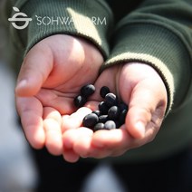 2022년 국산 햇 서리태 1kg 검은콩 속청 잡곡, 1개