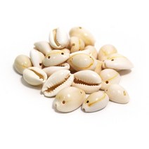 체리아트 조개비즈5 약50개입 조개껍질목걸이 DIY