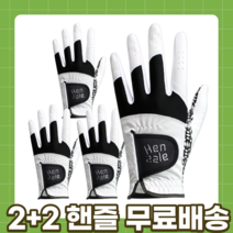 2+2 gmax 핸즐 연습용 필드용 추천 골프장갑 4p, 남성 오른손