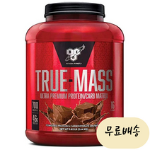 BSN 트루매스 단백질 보충제 파우더 초콜릿 2.64kg, 1개
