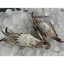 신진도 숫꽃게 가을 봄 꽃게 냉동 3kg, 냉동 가을숫꽃게 대(12~17미) 5kg