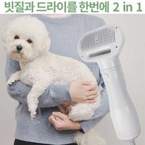 CANZ 강아지 드라이기 럽마이펫 2in1 빗질+드라이 고양이 드라이기 반려동물 털말리기