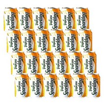 롯데 트로피카나 스파클링 망고 복숭아 사과 오렌지 포도355ml 24캔, 상세페이지 참조2