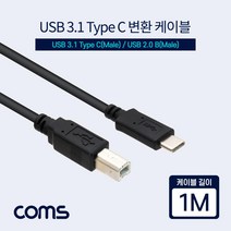USB 3.1 Type C to B 프린터케이블 1M M/M BB738
