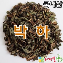사계절약초 박하, 200g, 1개