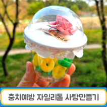 자일리톨 사탕만들기 키트 양치후먹는 충치예방 수제캔디 아기 금연 임산부 입덧캔디, 충치예방 자일리톨 사탕만들기