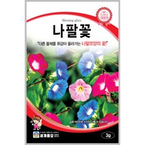 나팔꽃 3g 꽃씨 일년생 씨앗 몰 봄 여름 가을 야생화 세계종묘 농사마트
