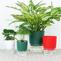 저면관수 화분 심지 자동급수 식물키우기 자동급수화분 물주기 플라스틱화분 인테리어 미니화분, 그린-중