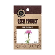 월드가드닝 채송화 씨앗, 단품