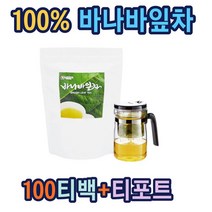 바나바잎차 100티백+티포트 500ml 차 전용용기 티보틀