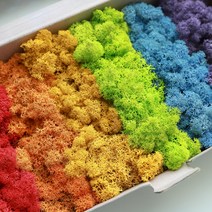 스칸디아모스 그라데이션모스 천연이끼 150g 공기정화식물 만들기 diy 재료, 스칸디아모스 150g, 버건디, 1개