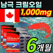 [캐나다 직수입] 100% 남극 크릴오일 58% 그릴오일 크린오일 새우오일 인지질 아스타잔틴 함유 krill 개별 ptp 포장 / 알약 케이스증정, 6개월 / 3개