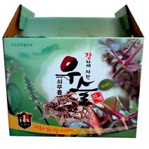우슬진액100mlx120포 우슬즙 (한방건강마을), 100ml, 120개