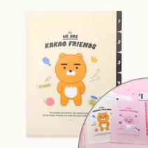 카카오프렌즈 5포켓 파일, 라이언