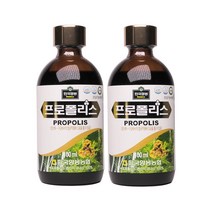 양봉농협 프로폴리스 원액 100ml 2병, 2개