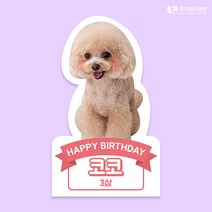 동물등신대 실물스탠딩 C01 자유문구핑크 소형 20cm, 대형 60cm, C02 자유문구블루