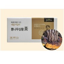 내몸지킴이 뽕나무 상황버섯차 30T 직접재배 버섯 베타글루칸 약용버섯 한약재료 약초 면역력 피로회복 환절기 장수식품 음용차 침출차 건강차
