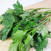 이태리파슬리 500g 이탈리안 파슬리 prezzemolo 향신료, 1개