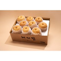 해피팜 나주배 산지직송 가정용 선물세트 5kg 7.5kg, 1개, 8~9과 5kg가정용