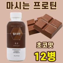 마시는 프로틴 단백질 음료 선식 농척유청 WPC 코코아 분말 카놀라유 레시틴 MCT오일 BCAA 클루타민 구아검 저분자 가수분해물 초코맛 초코, 12병