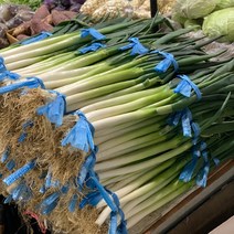 원동FS 국내산 대파 1단(1kg내외), 1단, 1kg 내외