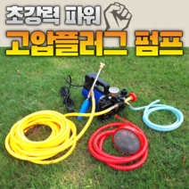 이동형 고압 양수기 펌프 12V48V60V220 볼트 고전압 농업용 전기 분무기 농약 제초제 살충제 방제 방역 살포기, 220V플런저펌프10미터고압 파이프