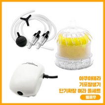 아쿠아테라 기포발생기 단기확장 여과 풀 세트 CHPT-8070 옐로우, 1세트