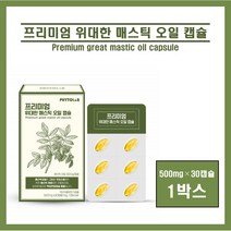 위건강 매스틱 위매스틱 매스틱 메스틱 검 껌 오일 캡슐 그리스 키오스 매스틱 원물 추출물 분말 가루 양배추 올리브유 테르펜 식이섬유 피토스테롤 위관리 위보호 영양 추천, ##영에버그린##매스틱오일캡슐(500mg×30캡슐), 1박스, 30정