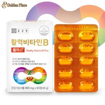 종근당 활력비타민B 플러스 60정 에너지 직장인 수험생 청소년 G