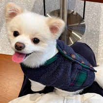 강아지할매조끼 강아지 할머니조끼 방한복 털옷 개타고니아 옷 후리스 체크, 그린L