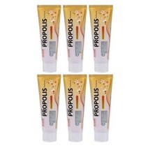 Hi Well 하이웰 뉴질랜드 프로폴리스 티트리 치약 100g 6팩, 6개