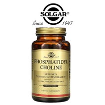 솔가 Solgar 소이 대두 레시틴 포스파티딜콜린 Phosphatidylcholine 840mg 100정