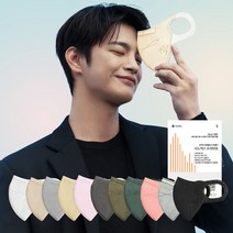 시노텍스 ePTFE프리미엄 새부리형 마스크 50매, 단품, 색상:다크그레이|사이즈:대형(L)