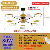 북유럽 선풍기 램프 크리에이티브 넷 레드미러 거실 레스토랑 샹들리에 리모컨 컨버터블-192950, 옵션02
