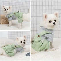 LVC 키밍 그린 강아지 멜빵 스트라이프 올인원 애견 의류 봄옷 토이 푸들옷, M