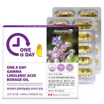 보라지유 보라지꽃 종자유 보라지오일 네추럴라이즈 감마리놀렌산 보라지유 오메가6, 90캡슐(3개월) x 2개, 2개