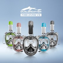 듀얼브레서 DRB-F3 프리다이빙V3 스노클링 마스크 물안경 수경 물놀이 용품 다이빙 9세이상 전연령대, 그린, 그린