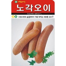 AR 노각오이 300립 재래종 오이 씨앗